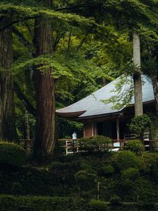 Preview wallpaper building, roof, pagoda, trees