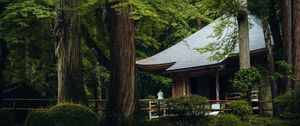 Preview wallpaper building, roof, pagoda, trees