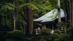 Preview wallpaper building, roof, pagoda, trees