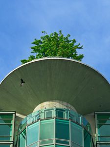 Preview wallpaper building, roof, tower, tree