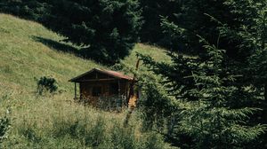 Preview wallpaper building, slope, forest, trees, grass