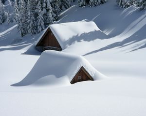 Preview wallpaper building, snow, hill, trees