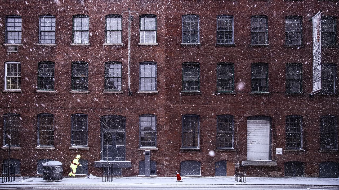 Wallpaper building, snow, windows, dog, winter