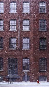 Preview wallpaper building, snow, windows, dog, winter