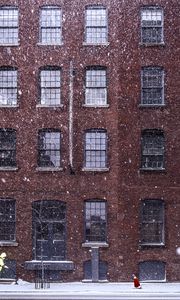 Preview wallpaper building, snow, windows, dog, winter