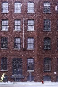 Preview wallpaper building, snow, windows, dog, winter