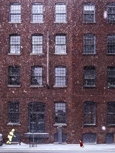 Preview wallpaper building, snow, windows, dog, winter