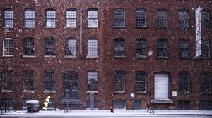 Preview wallpaper building, snow, windows, dog, winter