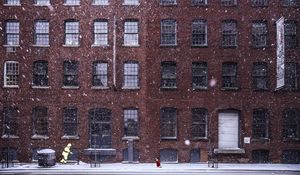 Preview wallpaper building, snow, windows, dog, winter