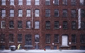 Preview wallpaper building, snow, windows, dog, winter