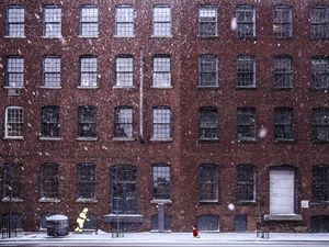 Preview wallpaper building, snow, windows, dog, winter