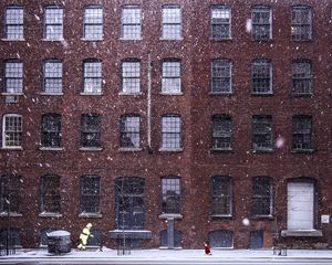 Preview wallpaper building, snow, windows, dog, winter