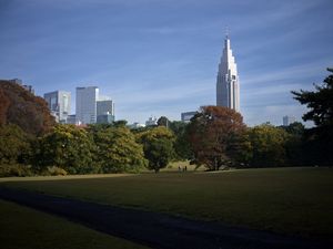 Preview wallpaper building, spire, lawn, park, trees, architecture