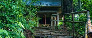 Preview wallpaper building, stairs, trees, roots