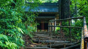 Preview wallpaper building, stairs, trees, roots