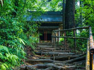 Preview wallpaper building, stairs, trees, roots