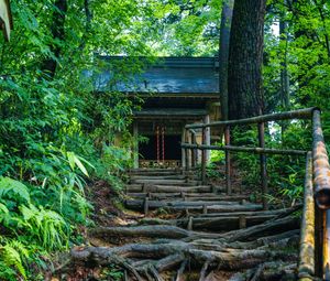 Preview wallpaper building, stairs, trees, roots