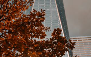 Preview wallpaper building, tower, architecture, tree, branch