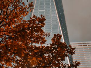 Preview wallpaper building, tower, architecture, tree, branch