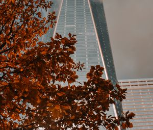 Preview wallpaper building, tower, architecture, tree, branch