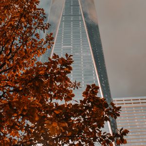 Preview wallpaper building, tower, architecture, tree, branch