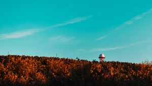 Preview wallpaper building, tower, ball, trees, treetops