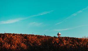 Preview wallpaper building, tower, ball, trees, treetops