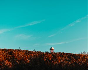 Preview wallpaper building, tower, ball, trees, treetops