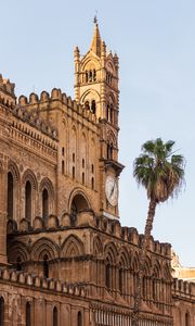 Preview wallpaper building, towers, clock, architecture, palm tree