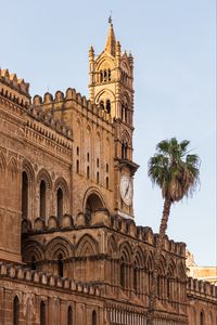 Preview wallpaper building, towers, clock, architecture, palm tree