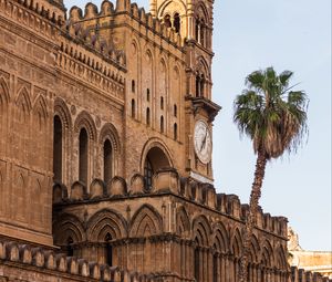 Preview wallpaper building, towers, clock, architecture, palm tree