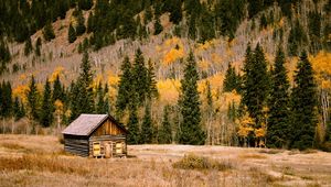 Preview wallpaper building, trees, mountain, hill, autumn