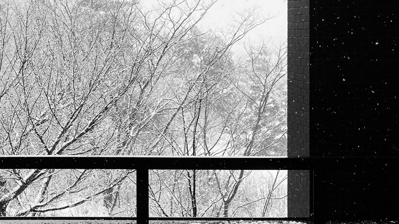 Wallpaper building, trees, snow, bw