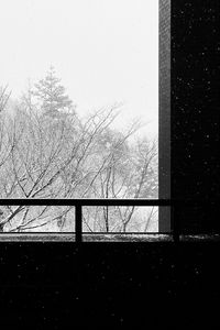 Preview wallpaper building, trees, snow, bw