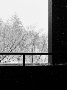 Preview wallpaper building, trees, snow, bw