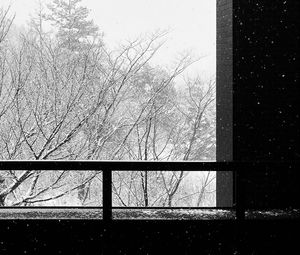 Preview wallpaper building, trees, snow, bw