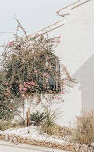 Preview wallpaper building, wall, flowers, bushes, architecture, aesthetics