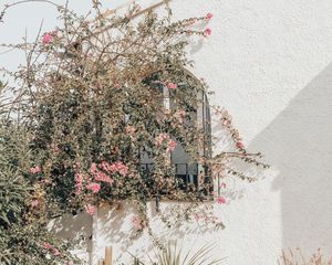 Preview wallpaper building, wall, flowers, bushes, architecture, aesthetics