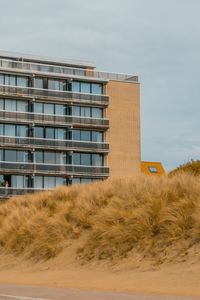 Preview wallpaper building, windows, balconies, grass, sky