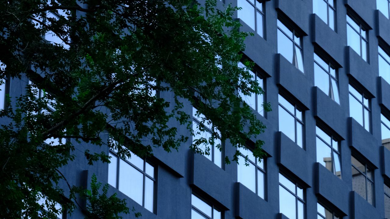 Wallpaper building, windows, facade, tree, leaves, architecture