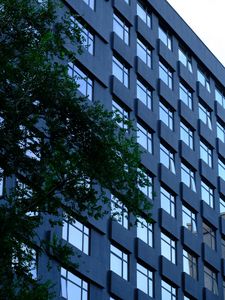 Preview wallpaper building, windows, facade, tree, leaves, architecture