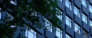 Preview wallpaper building, windows, facade, tree, leaves, architecture