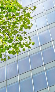 Preview wallpaper building, windows, facade, branch, leaves