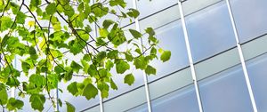 Preview wallpaper building, windows, facade, branch, leaves