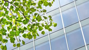 Preview wallpaper building, windows, facade, branch, leaves