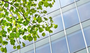 Preview wallpaper building, windows, facade, branch, leaves