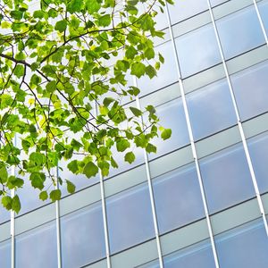 Preview wallpaper building, windows, facade, branch, leaves