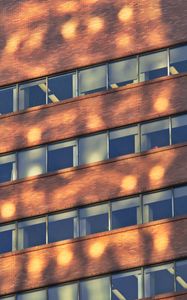 Preview wallpaper building, windows, sunlight, shadows
