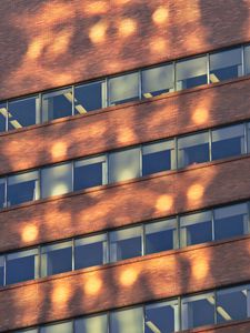 Preview wallpaper building, windows, sunlight, shadows
