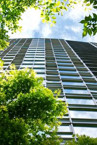 Preview wallpaper building, windows, trees, bottom view
